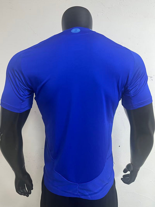 Argentina Away Player Version